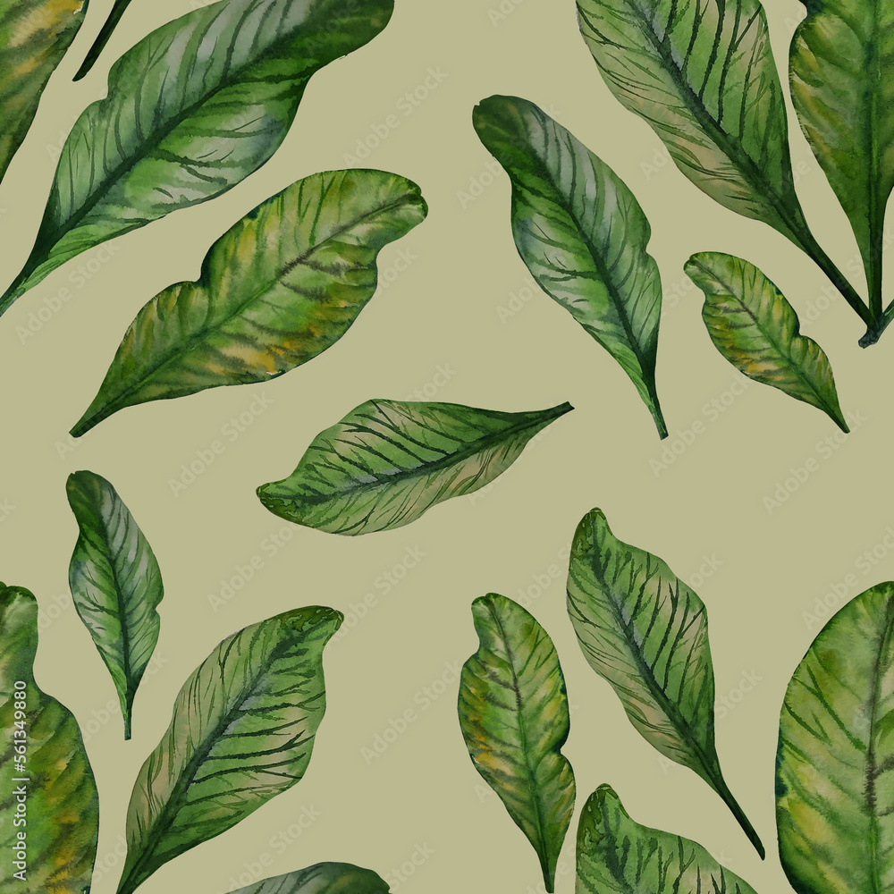 Fototapeta premium Pattern from leaves. Elements in watercolor style