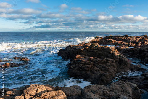 Coast of the North Sea in Scotland against a dramatic sky, seascape © ArturSniezhyn