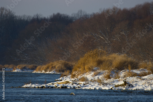 The Vistula river in winter photo