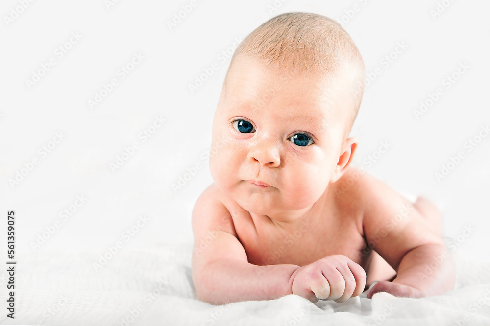 Newborn lies on stomach close up. Baby care concept.. Newborn lies on stomach close up. Baby care concept..