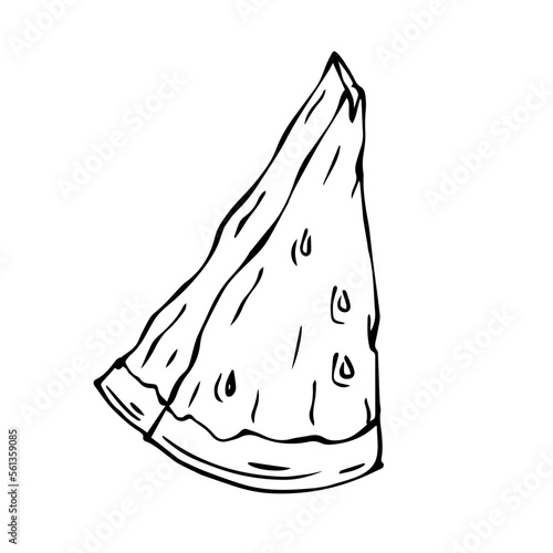 Linear sketches of a summer watermelon and halves of a dietary berry.Vector graphics.	