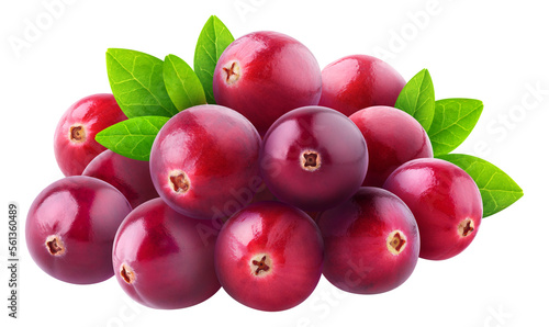 Pile of fresh cranberry fruits cut out