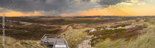Panorama der Dünenlandschaft bei List auf Sylt