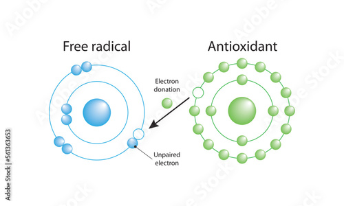 Free radical. Oxidative stress. photo
