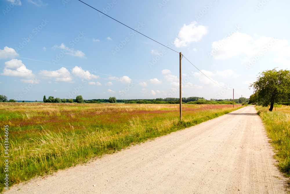 Einsamer Feldweg mit Stromleitung im Sonnenschein