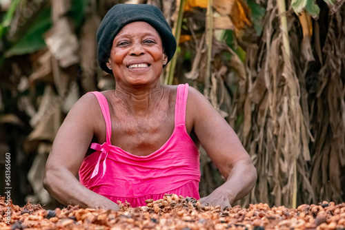 Raw and fermented cocoa beans drying in the sun by a beautiful and smiling African woman. Drying cocoa beans in Africa.