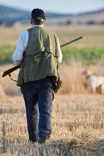 senior hunter with dog hunting quail