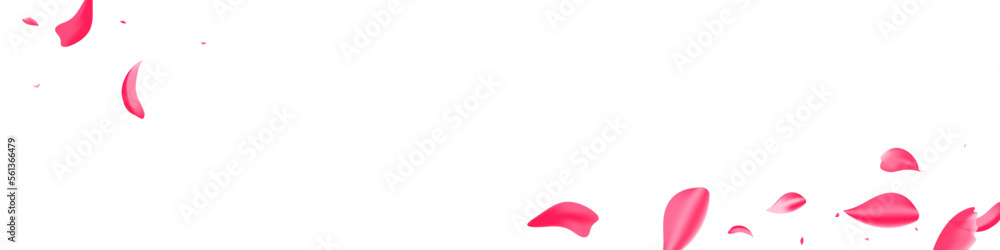 Beautiful Blossom Fly Vector White Panoramic Beautiful Blossom Fly Vector White Panoramic