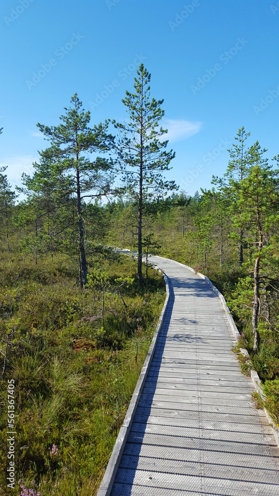 estonia landscape nature trail national park