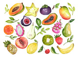 watercolor tropical fruit illustration
