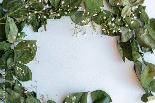marco decorativo de hojas verdes con ramitas de flor nube sobre fondo blanco photo
