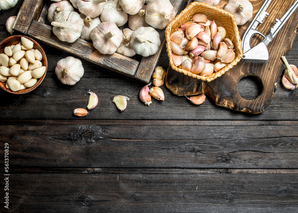 Garlic on a cutting Board with a garlic press. Garlic on a cutting Board with a garlic press.