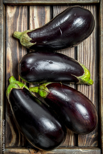 Fresh eggplant on tray.