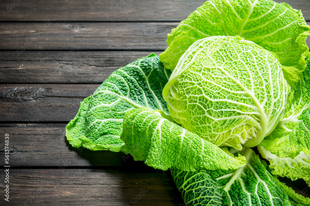 Fototapeta premium Ripe green cabbage.
