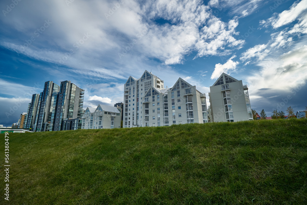 Fototapeta premium White buildings in the middle of the grass in Iceland in a cloudy dat
