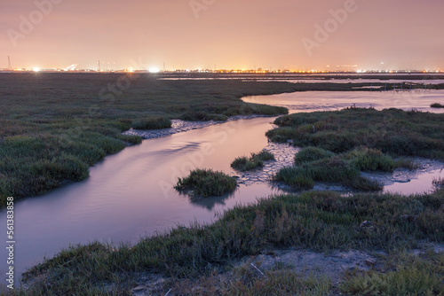 Restored Marsh, Former Salt Pond with city in background, Eden Landing, Hayward, California, USA photo