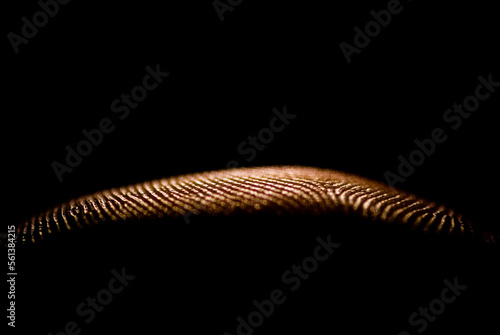 Close up of the friction ridges on the pad of a finger in San Diego, California.