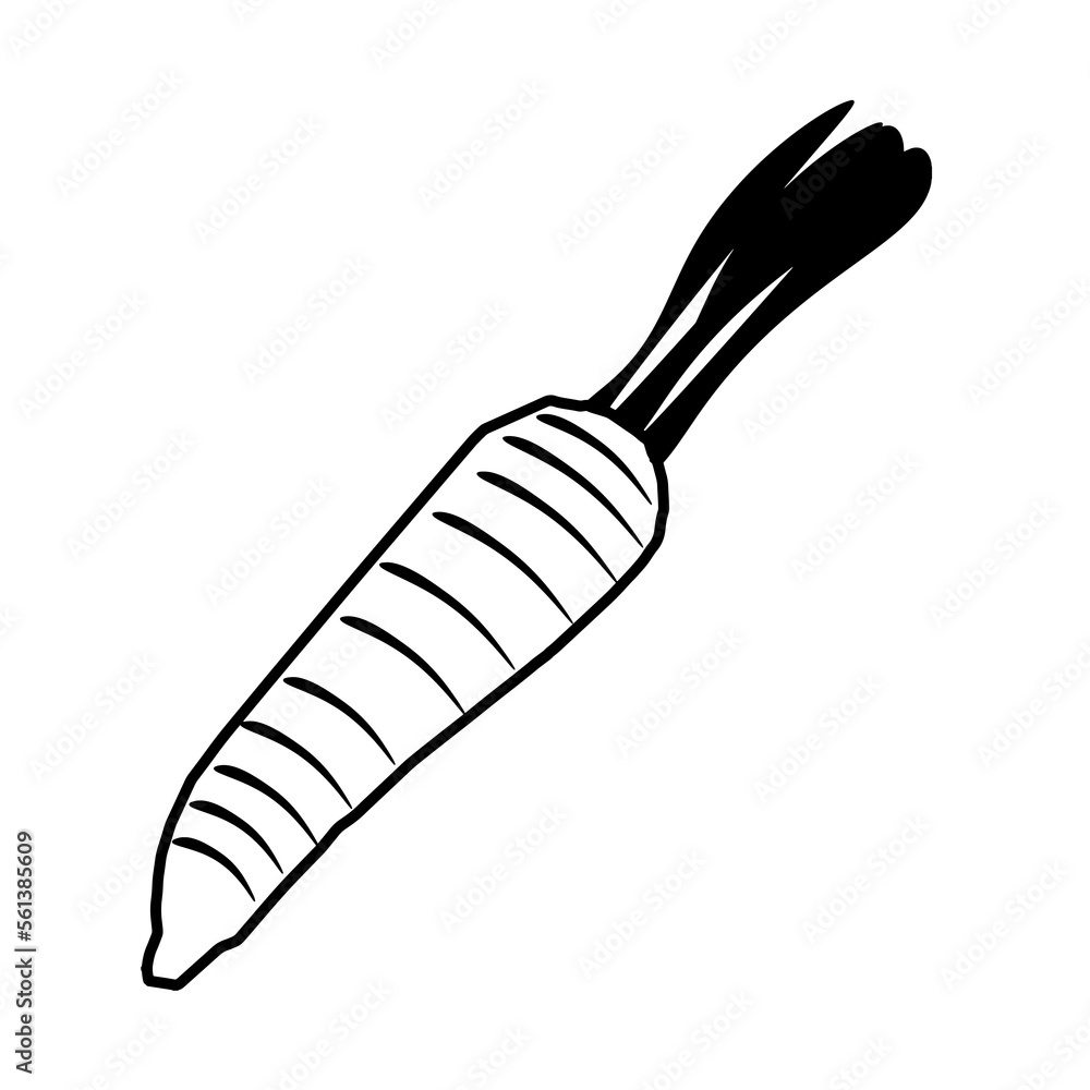 Carrot simple line icon. PNG illustration isolated on transparent background Carrot simple line icon. PNG illustration isolated on transparent background
