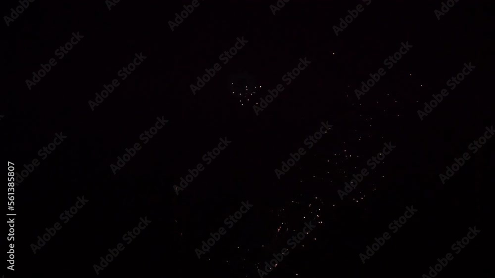 fireworks. Fireworks on the background of the night sky fireworks. Fireworks on the background of the night sky