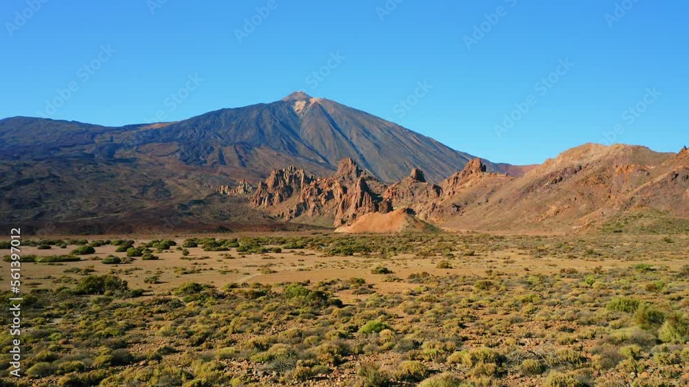 Volcanic nature landscape in Teide National Park. Volcano and Pico del Teide in Tenerife, Spain. Local cactus bushes grow in barren valley. Volcanic nature landscape in Teide National Park. Volcano and Pico del Teide in Tenerife, Spain. Local cactus bushes grow in barren valley.