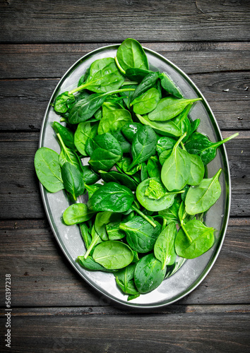 Green spinach on tray.