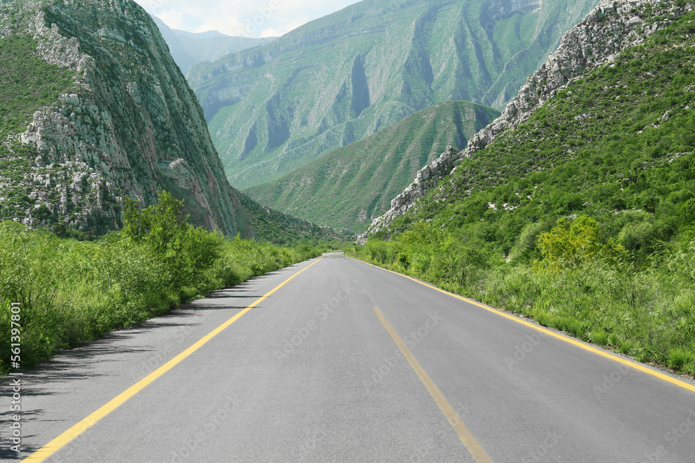 Picturesque view of big mountains and bushes near road