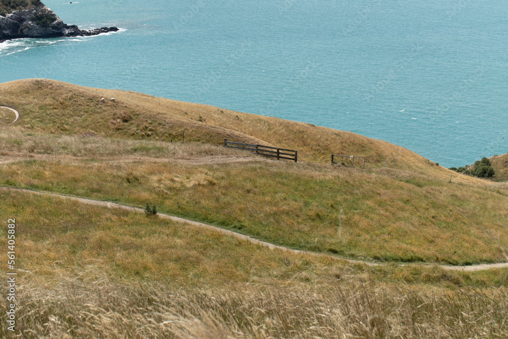 A path with a sea view. A road for hiking with a stunning landscape. Landscape. A path with a sea view. A road for hiking with a stunning landscape. Landscape.