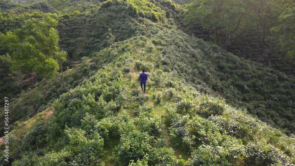 Man walks across top of bush covered hill on a sunny afternoon in Khadimnagar National Park Man walks across top of bush covered hill on a sunny afternoon in Khadimnagar National Park