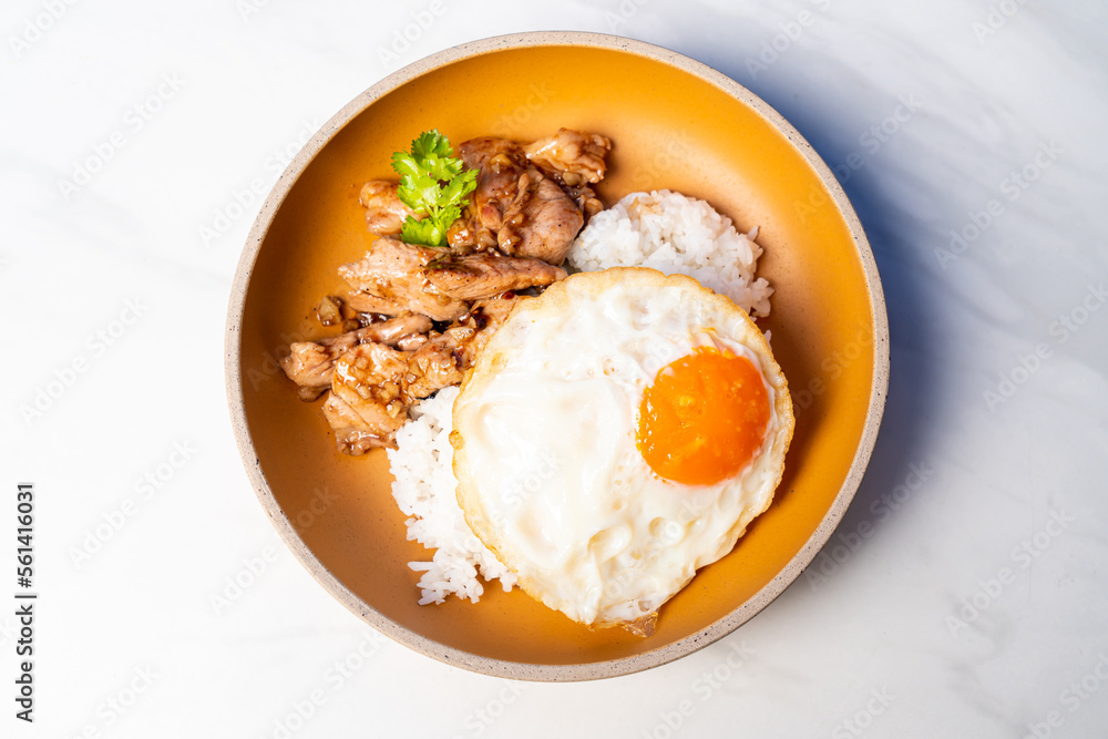 Rice with Garlic Chicken and Fried Egg