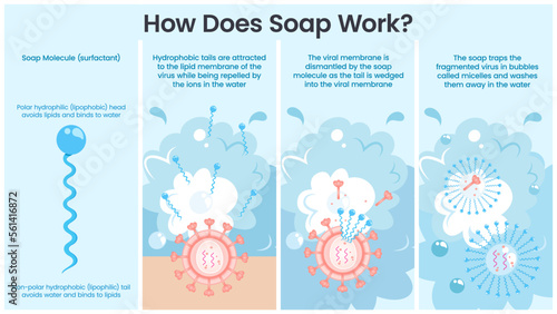 How Soap Works vector illustration infographic