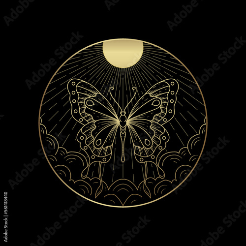 Golden butterfly flies in the sky chasing the sun