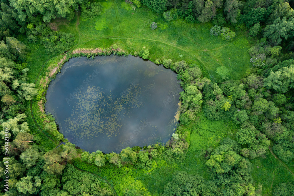 Top view of the aero lake, green dark forest and lake shore. Cloudy summer day.Ural