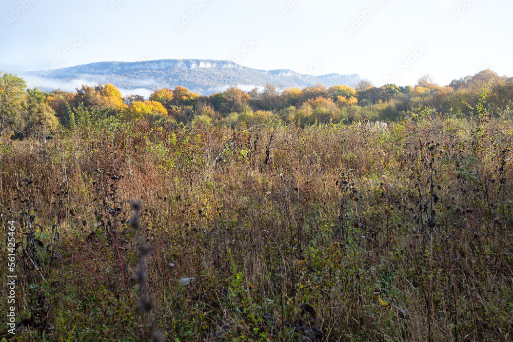 Fototapeta premium autumn in the highlands, the state of nature in a lyrical mood, the colors and colors of an autumn day, nature walks.*