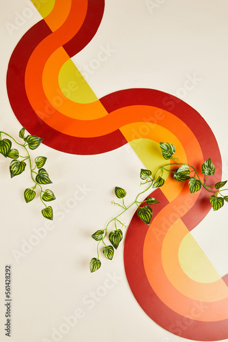 Creative Abstract Background Shoot Image (Holiday Theme)