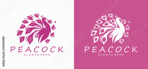 abstract peacock logo design ,Peacock Luxury Logo, Colorful peacock vector illustration,animal logo.