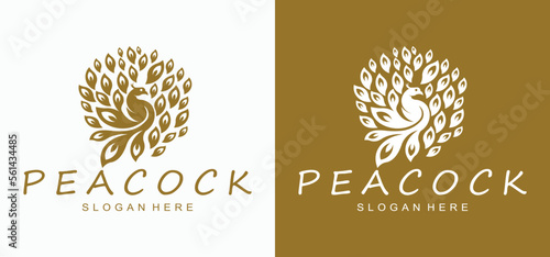 abstract peacock logo design ,Peacock Luxury Logo, Colorful peacock vector illustration,animal logo.
