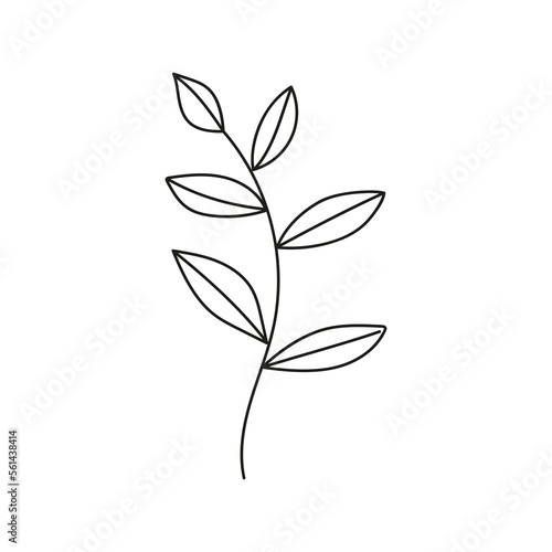 Hand drawn branch with leaves