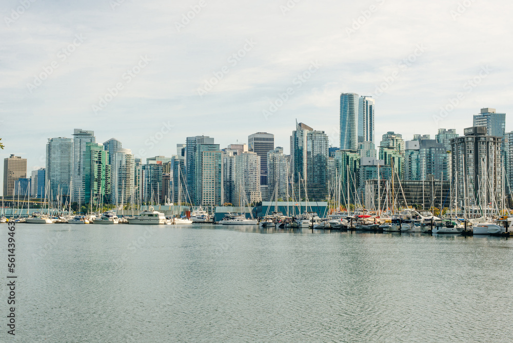 Obraz premium view of Vancouver skyline and Burrard Inlet from Stanley Park in autumn, Vancouver, British Columbia - sep 2019