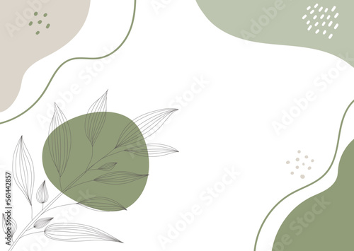Minimalist beauty abstract background with outline leaves