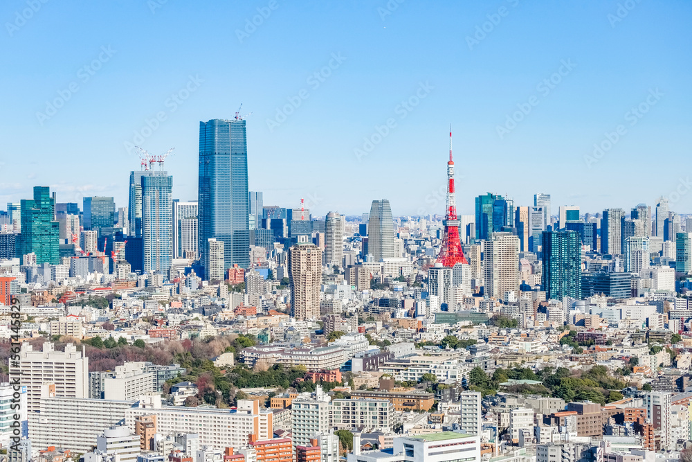 日本の首都の東京