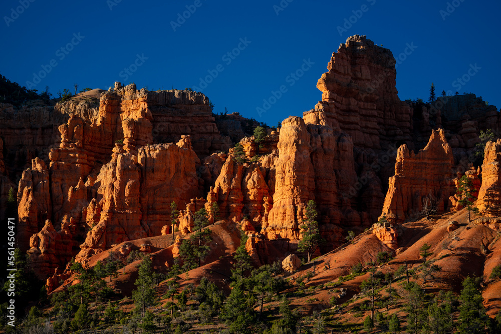 Dramatic sunset lighting on Bryce Canyon walls with green bushes and trees