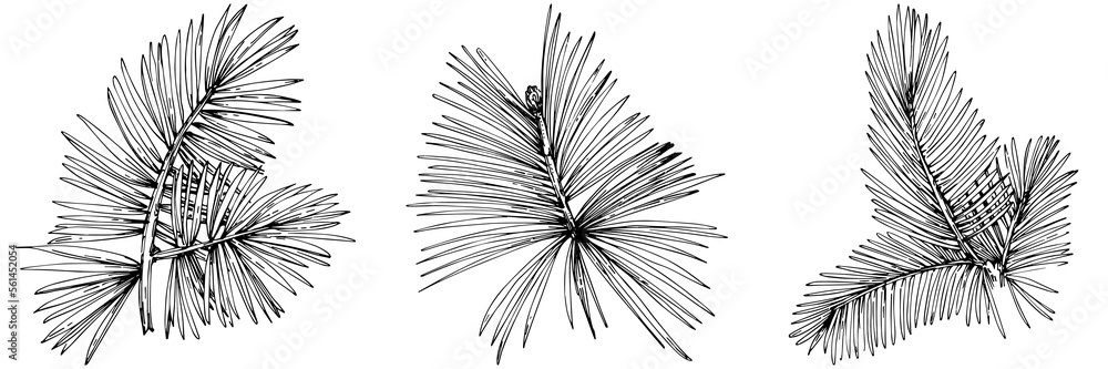 Obraz premium Wildflower fir-needle tree pattern in a one line style. Outline of the plant: Black and white engraved ink art needle. Sketch wild flower for background, texture, wrapper pattern, frame or border.