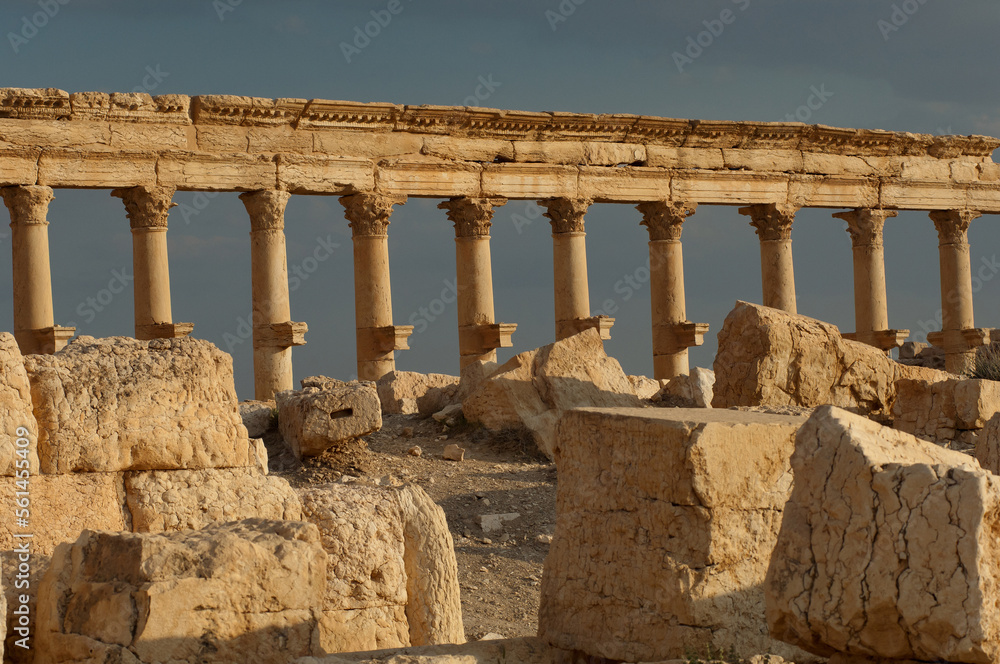 Roman columns at the ruined city of Palmyra in the Syrian desert, Syria