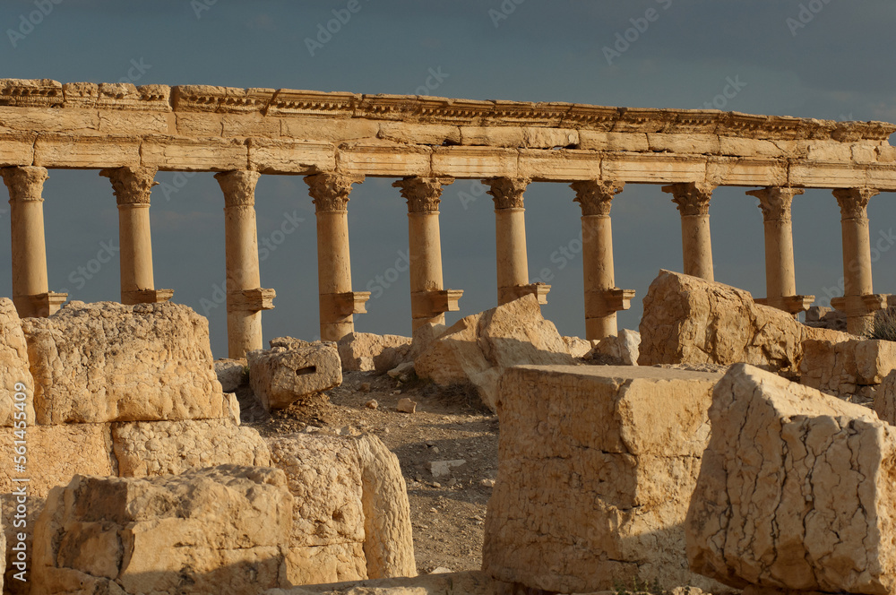 Roman columns at the ruined city of Palmyra in the Syrian desert, Syria Roman columns at the ruined city of Palmyra in the Syrian desert, Syria
