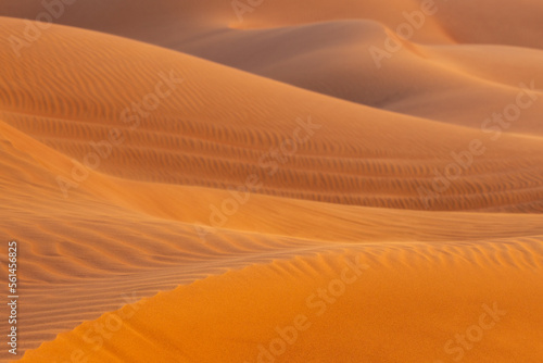 Close up of the ridge of desert dunes  with wavy patterns drawn by the wind