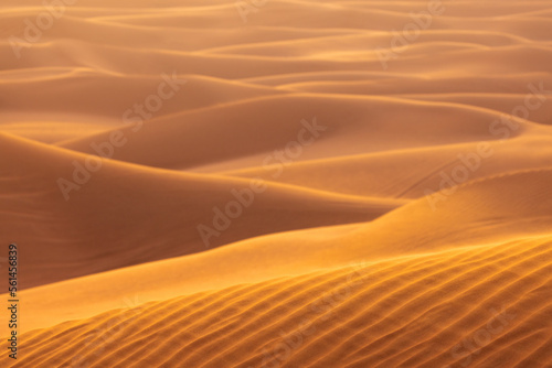 The red deset outside Dubai  with a dune in the foreground and a dunescape extending to the horizon in the background