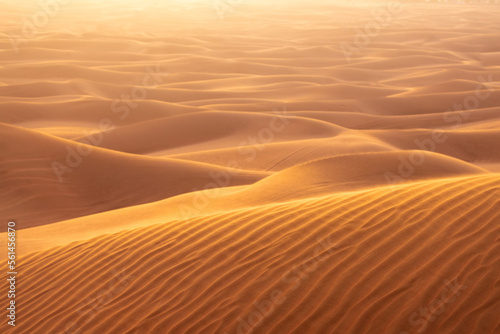 The red deset outside Dubai  with a dune in the foreground and a dunescape extending to the horizon in the background