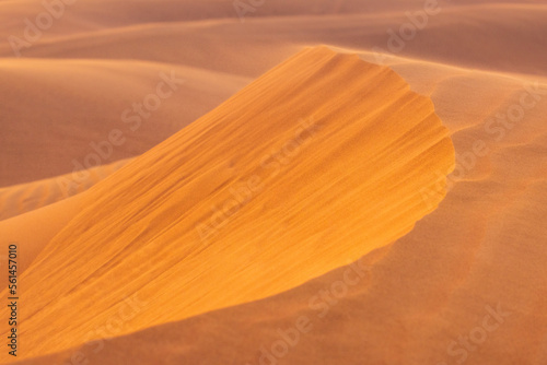 Close up of the ridge of desert dunes, with wavy patterns drawn by the wind