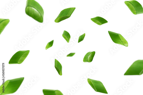 Falling chopped Green Onion isolated on white background, selective focus