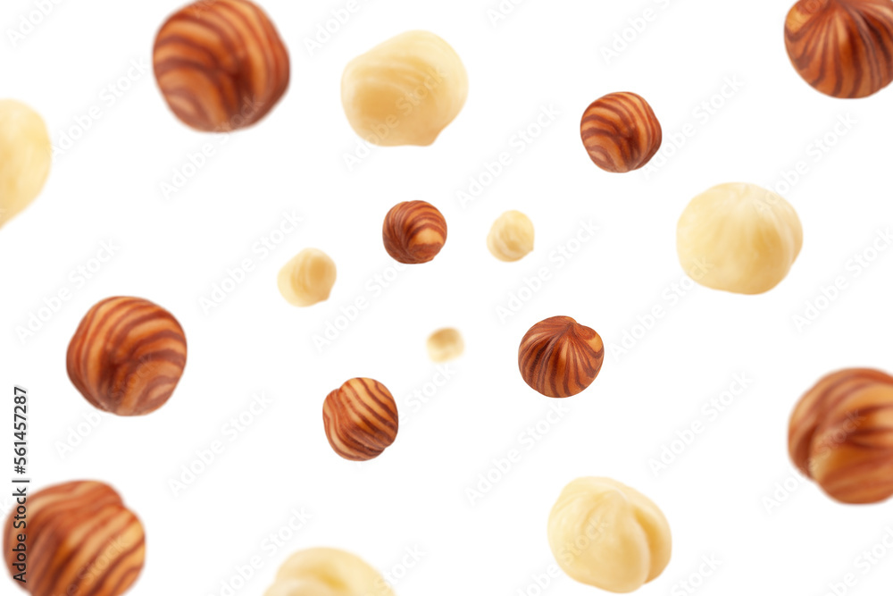 Falling Hazelnut peeled, isolated on white background, selective focus Falling Hazelnut peeled, isolated on white background, selective focus